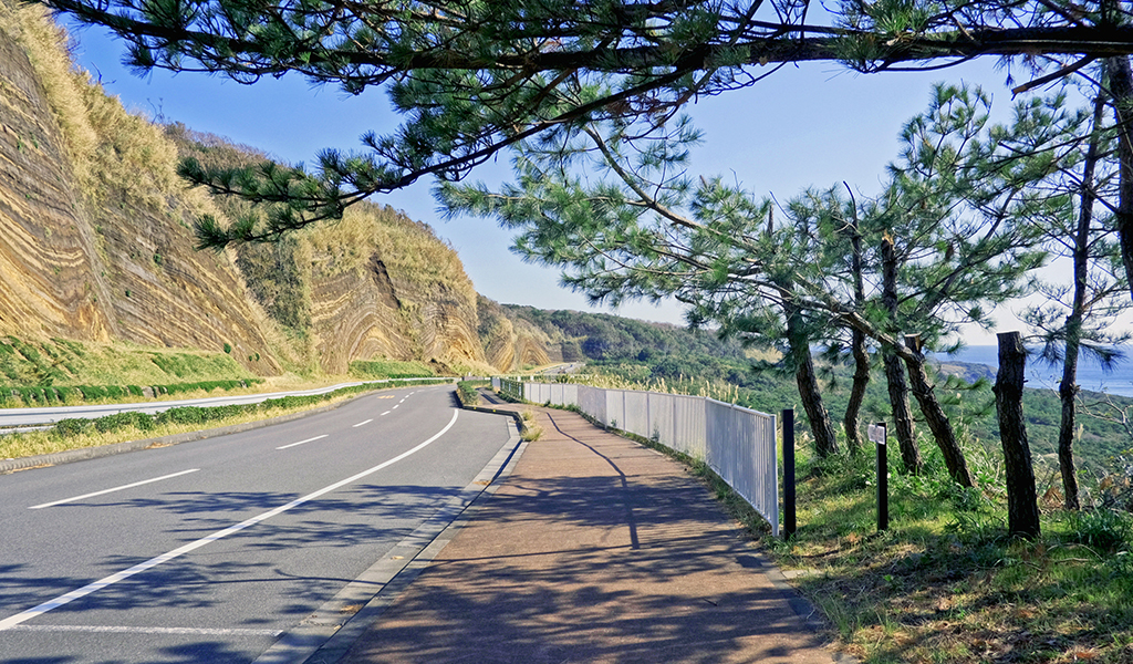 Izuoshima03