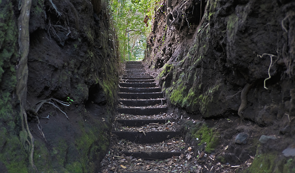 Izuoshima04