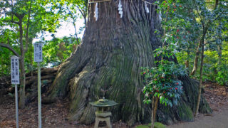 下総国の神々②東国三社参り・香取散歩 / 側高神社