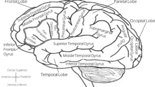 NLP(神経言語プログラミング)・心理学的手法による変化と成長の可能性