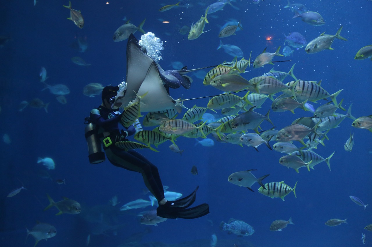 A sign of a proposal! ? Why he invites him to go on an aquarium date